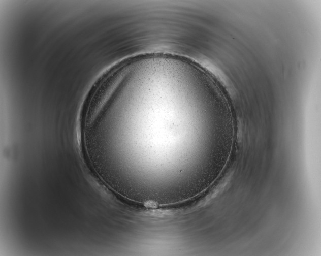 X0000088430888200706051228