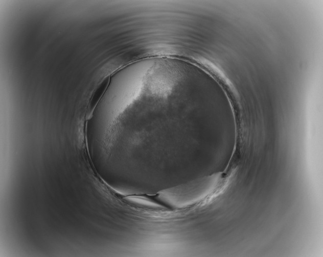 X0000088430889200706051228