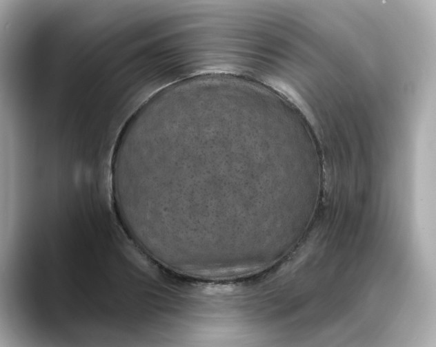 X0000088430890200706051228