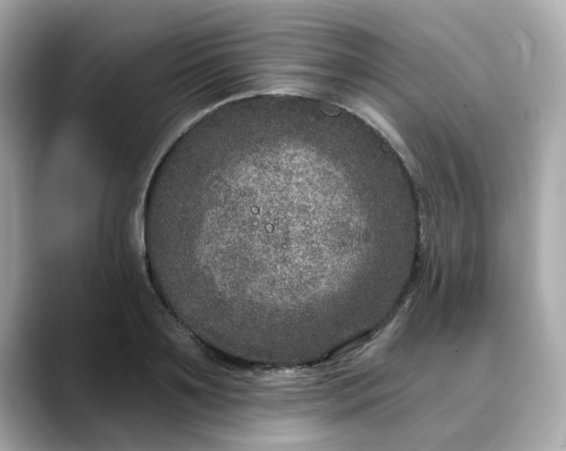 X0000088430891200706051228