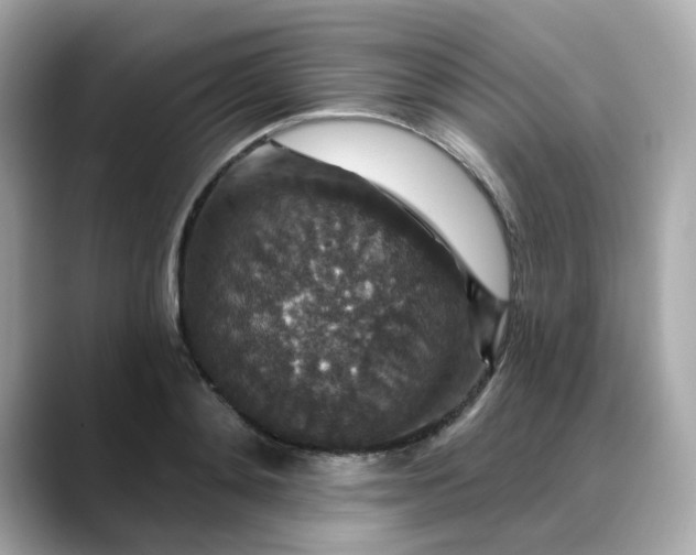 X0000088430892200706051228