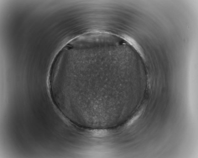 X0000088430893200706051228