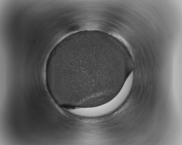 X0000088430894200706051228