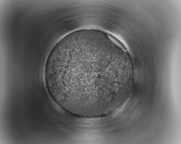 X0000088430895200706051228