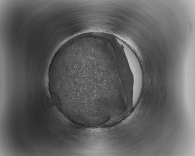 X0000088430896200706051228