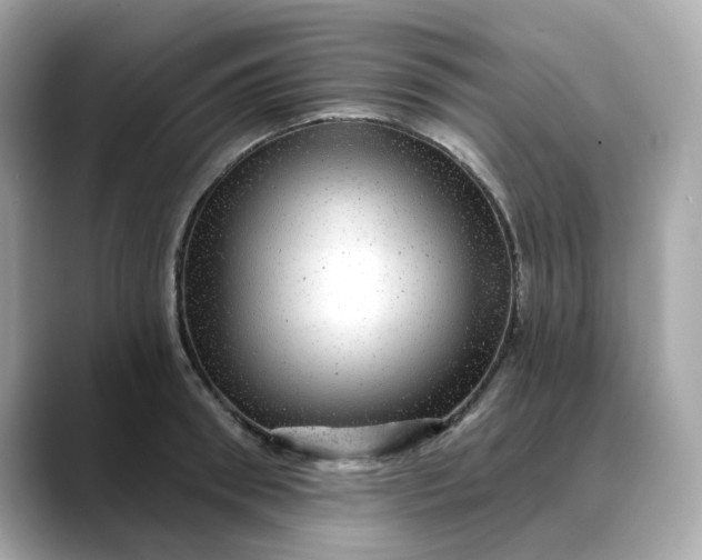 X0000088430898200706051228