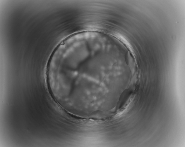 X0000088430899200706051228