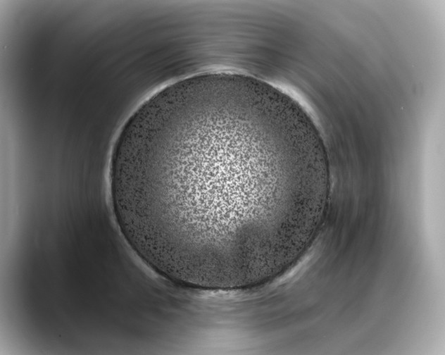 X0000088430902200706051228