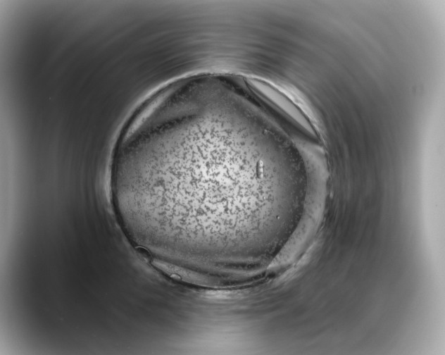 X0000088430904200706051228