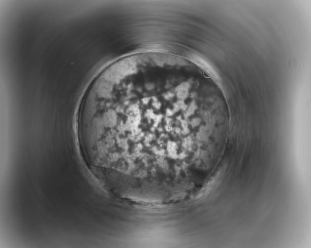 X0000088430907200706051228