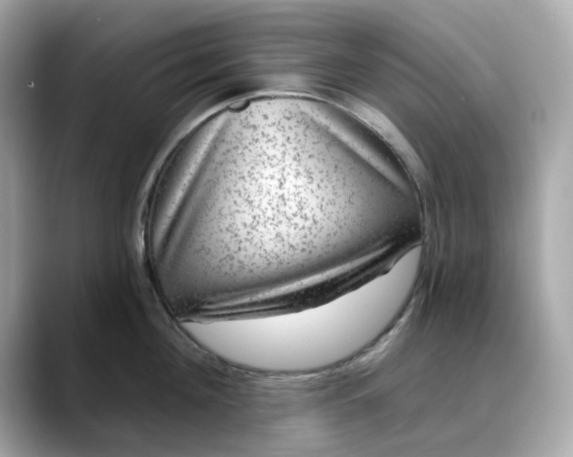 X0000088430908200706051228