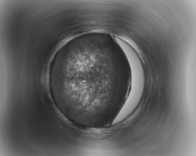 X0000088430910200706051228