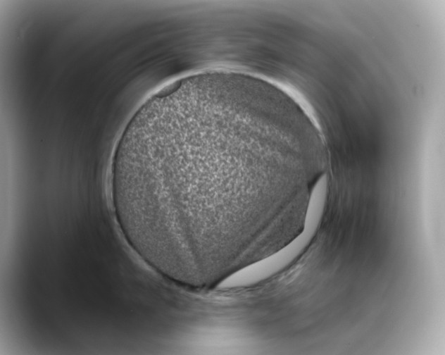 X0000088430911200706051228