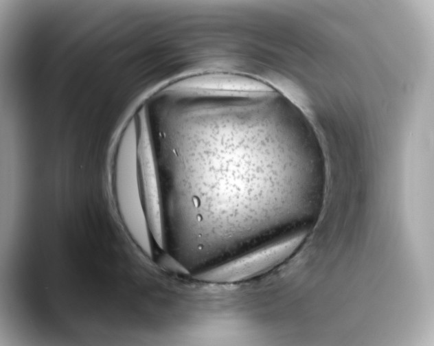 X0000088430912200706051228