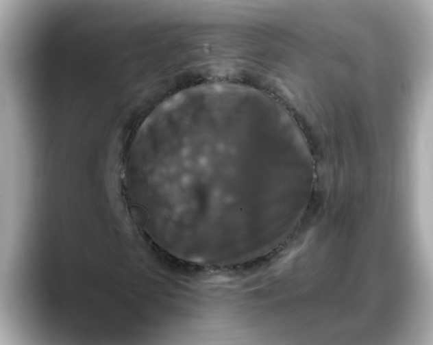 X0000088430913200706051227