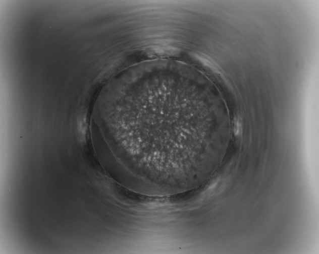 X0000088430915200706051227