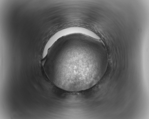 X0000088430916200706051227