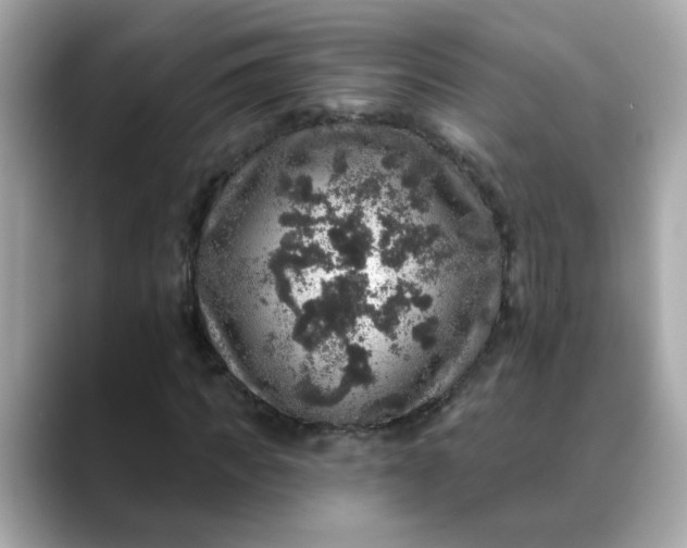 X0000088430917200706051227