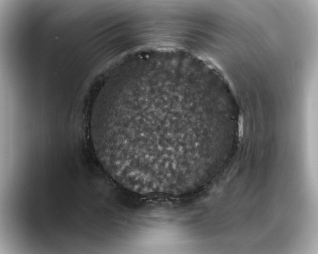 X0000088430919200706051227