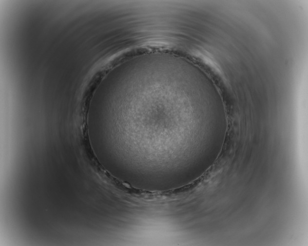 X0000088430920200706051227