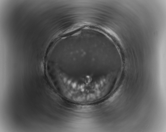 X0000088430921200706051227