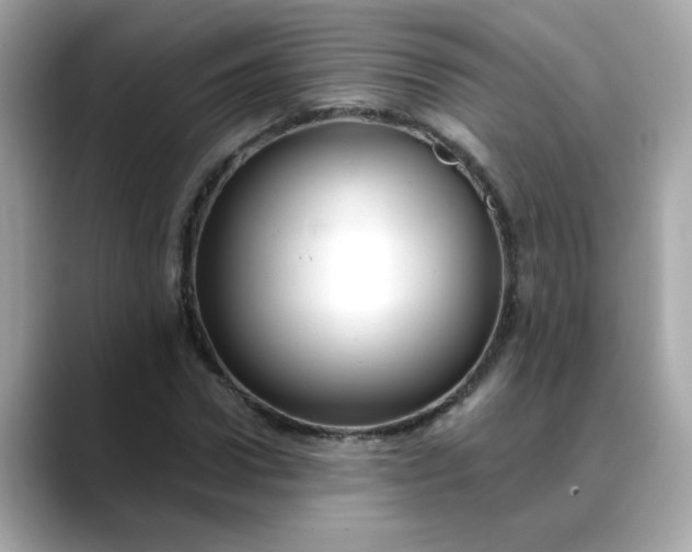 X0000088430922200706051227