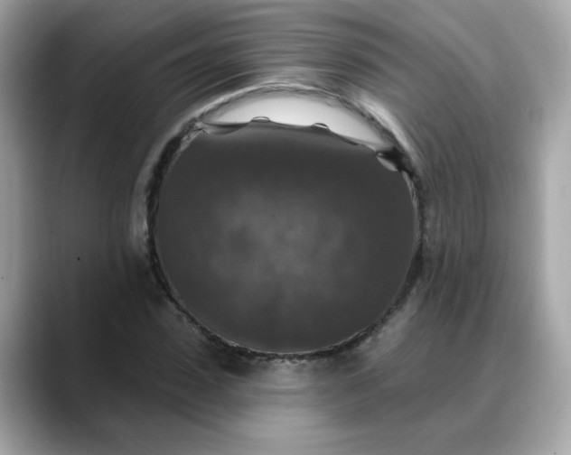 X0000088430923200706051227