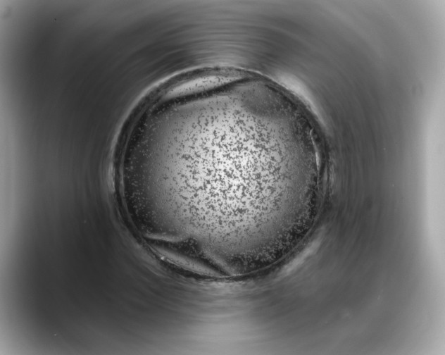 X0000088430924200706051227