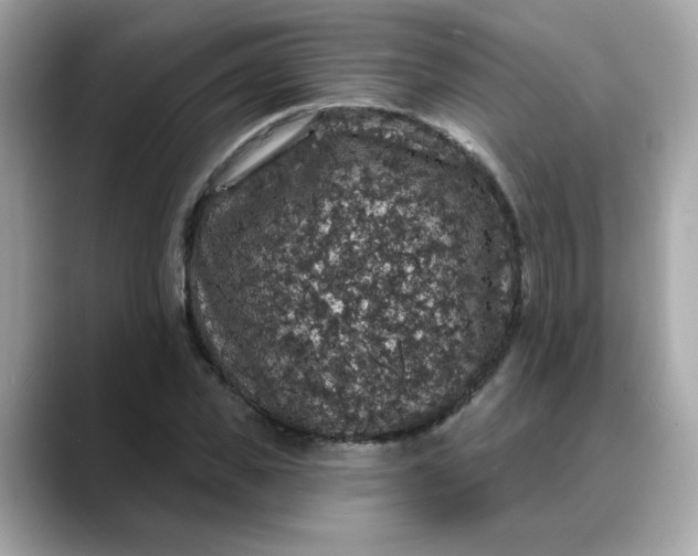 X0000088430925200706051227