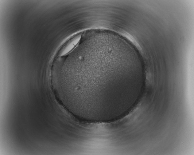 X0000088430926200706051227