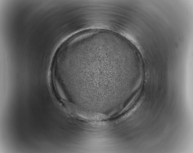 X0000088430928200706051227