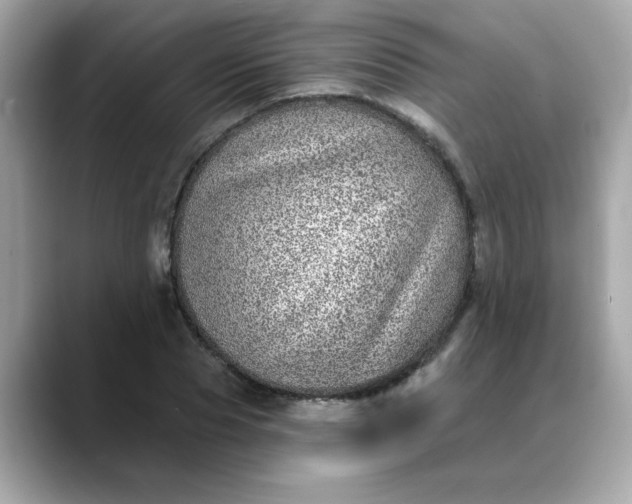 X0000088430929200706051227