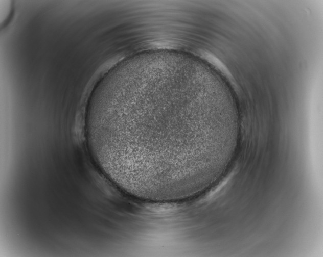 X0000088430930200706051227