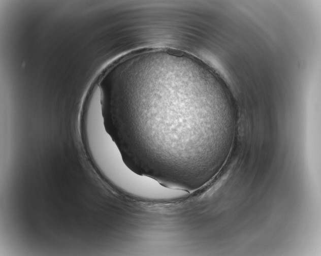 X0000088430932200706051227