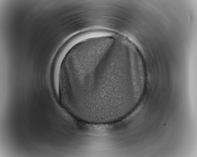 X0000088430934200706051227