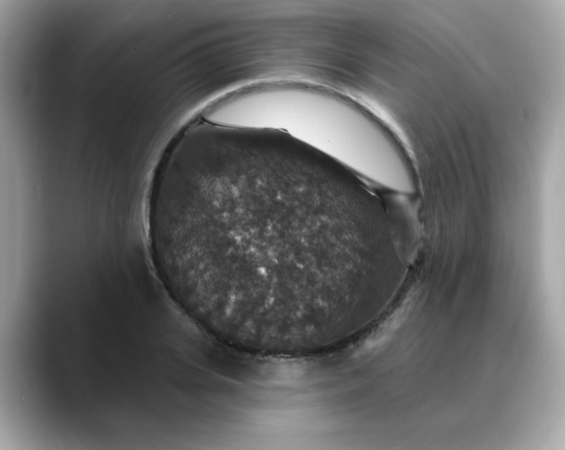 X0000088430935200706051227