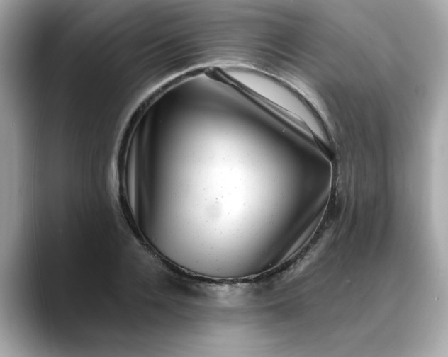 X0000088430936200706051227