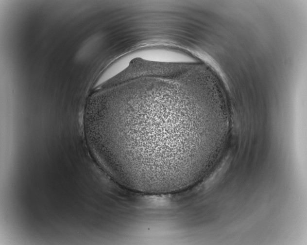 X0000088430937200706051227