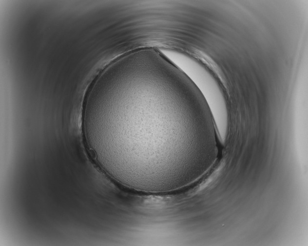 X0000088430938200706051227