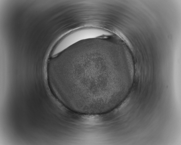 X0000088430939200706051227