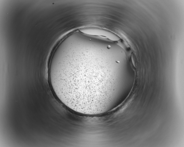 X0000088430940200706051227