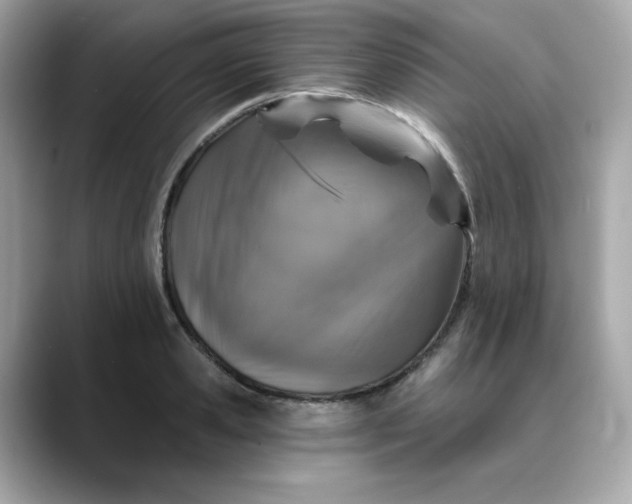 X0000088430941200706051227