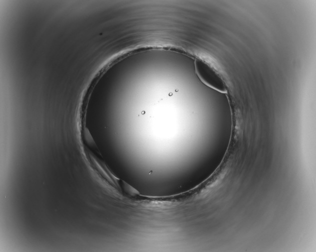 X0000088430942200706051227