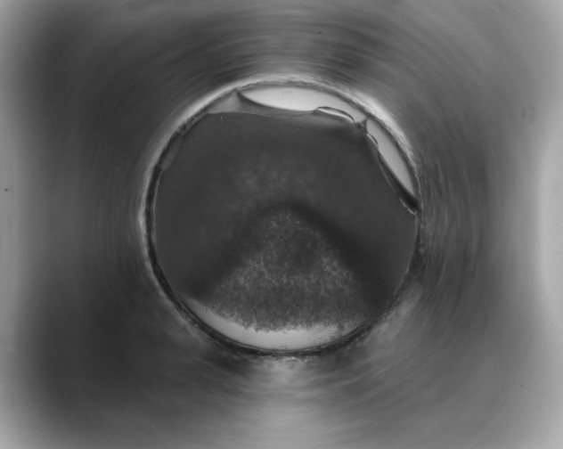 X0000088430943200706051227