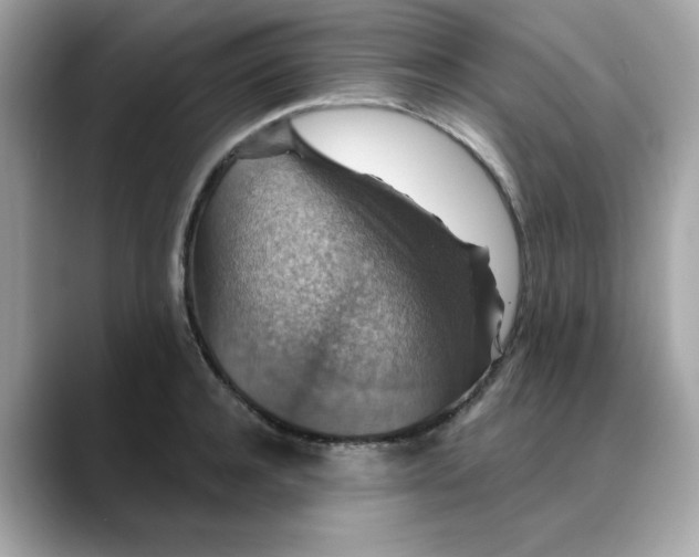 X0000088430944200706051227