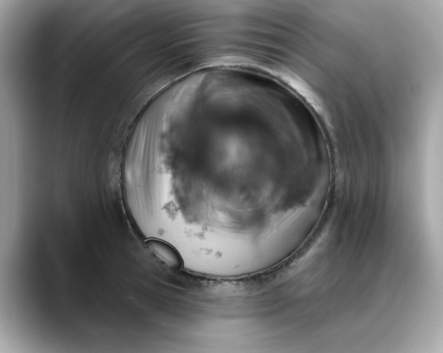 X0000088430945200706051227