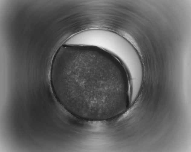 X0000088430946200706051227