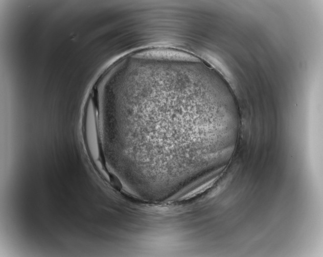 X0000088430948200706051227