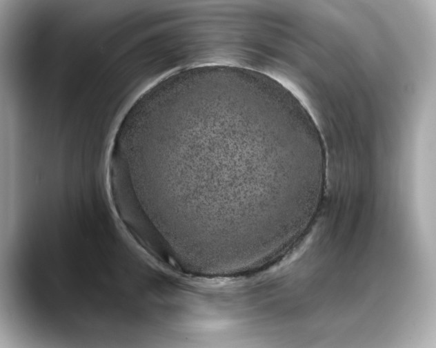 X0000088430949200706051227