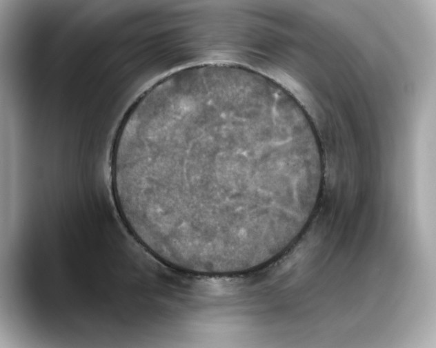 X0000088430950200706051227